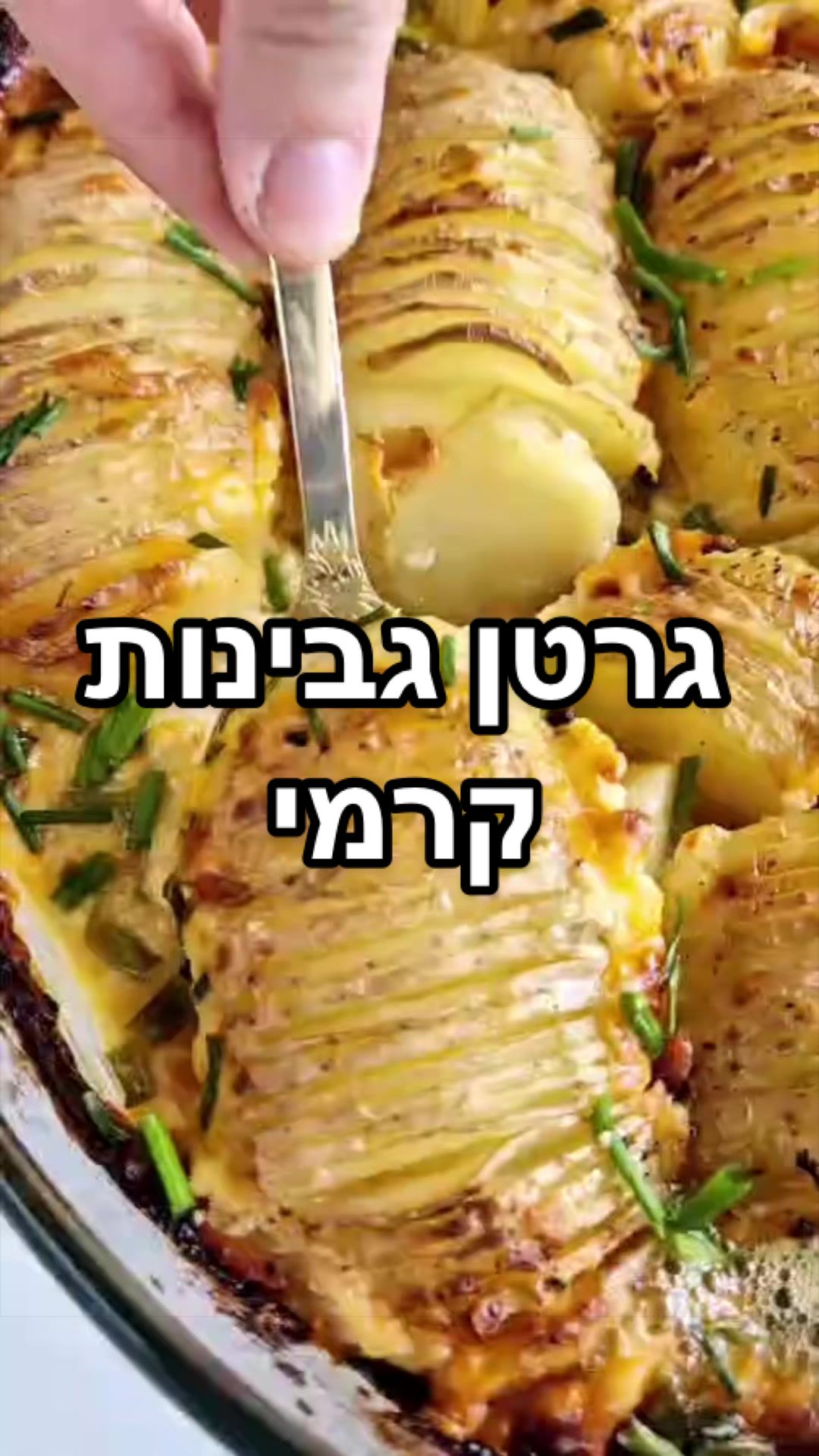 @Foody פודי