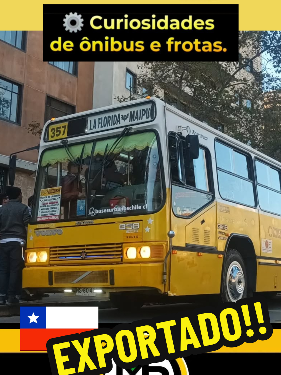 @Mem&oacute;ria da Busologia