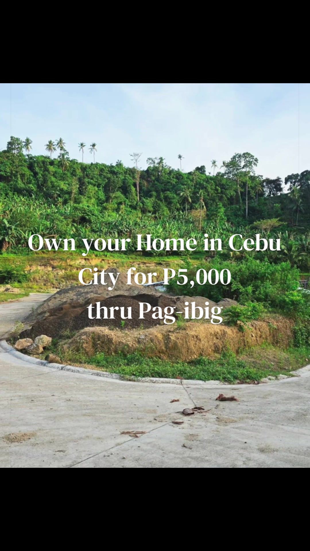 @ceburealestaterentals