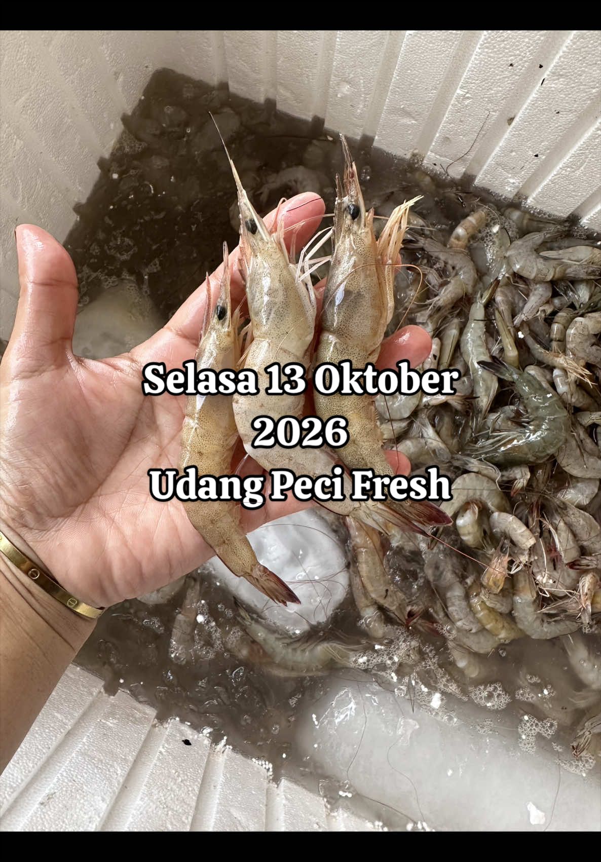 @pesekseafood