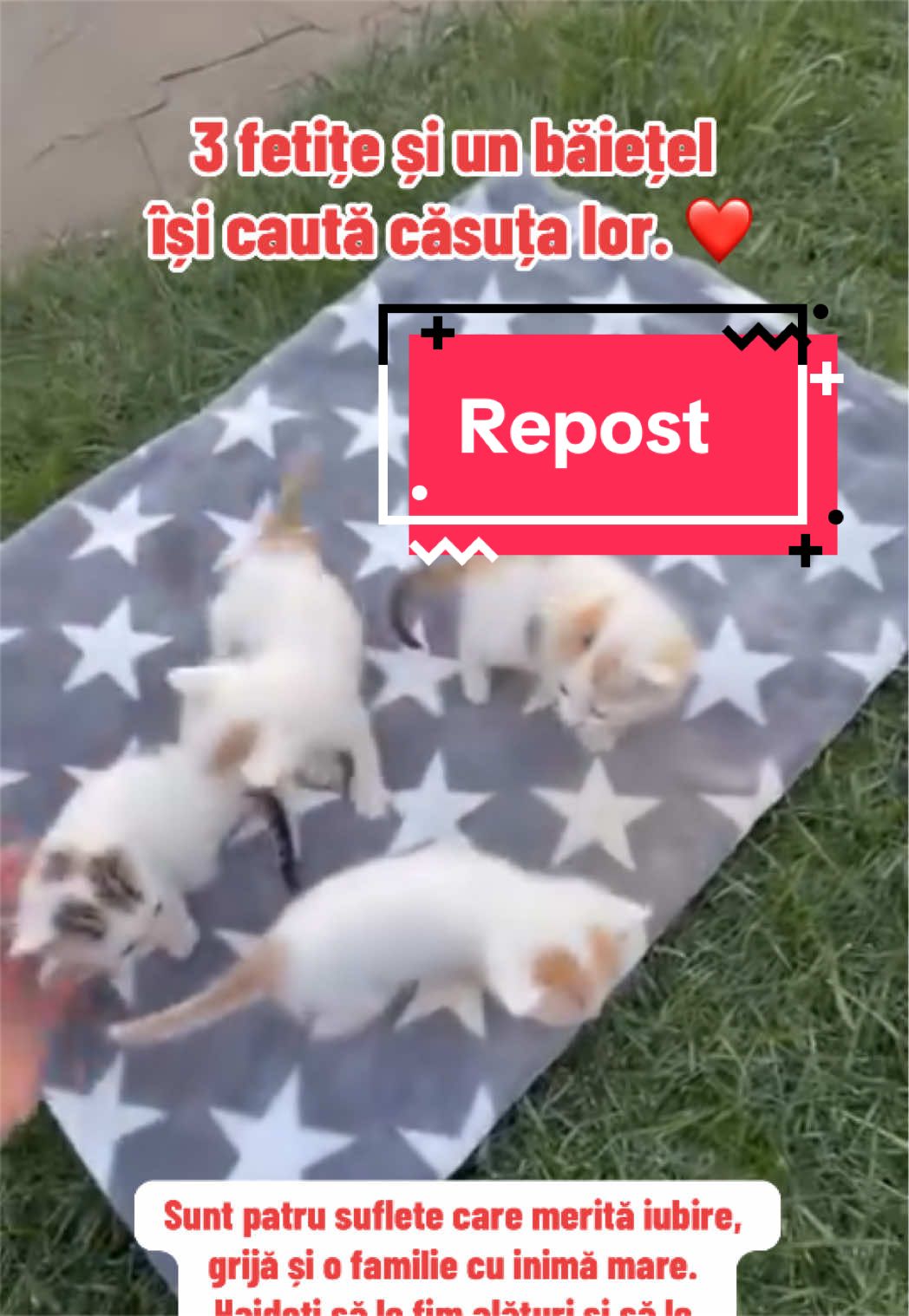 @Larisa🐾Taison