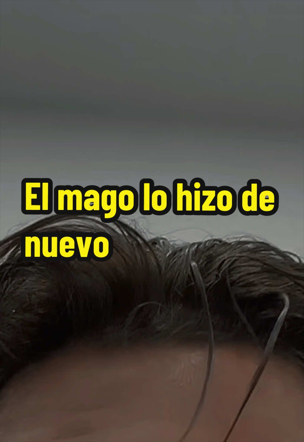 @thisispollo