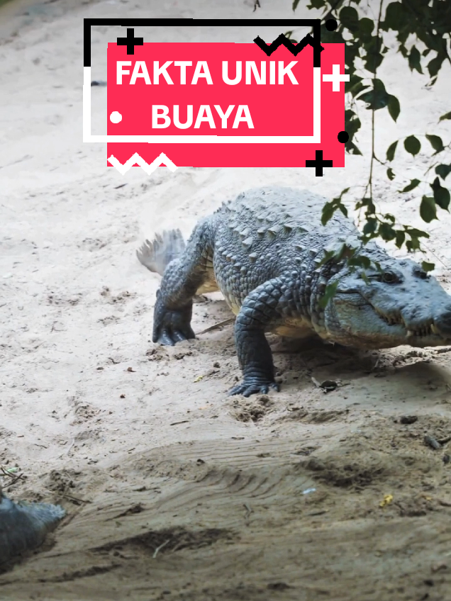 @NUNA TEMPLATE