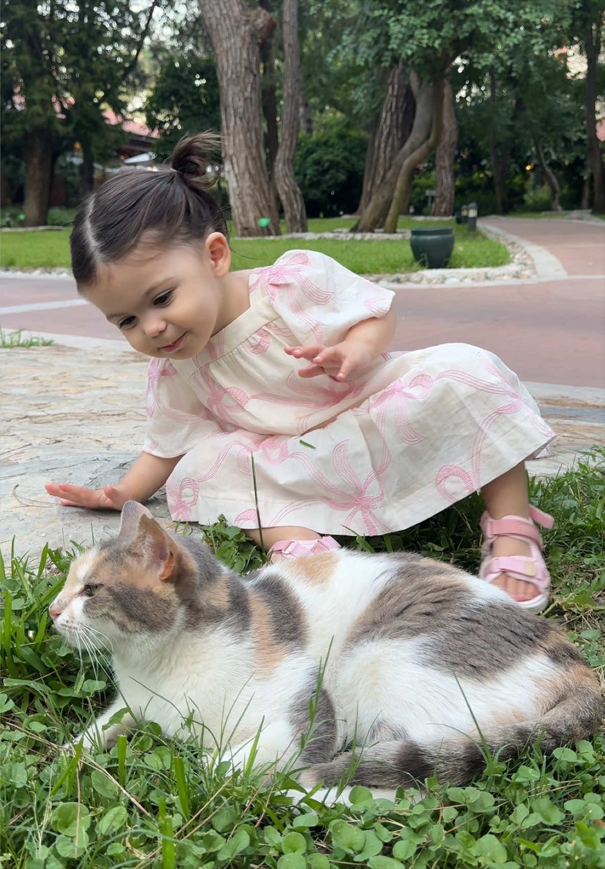 @Asena Murat ve Ada