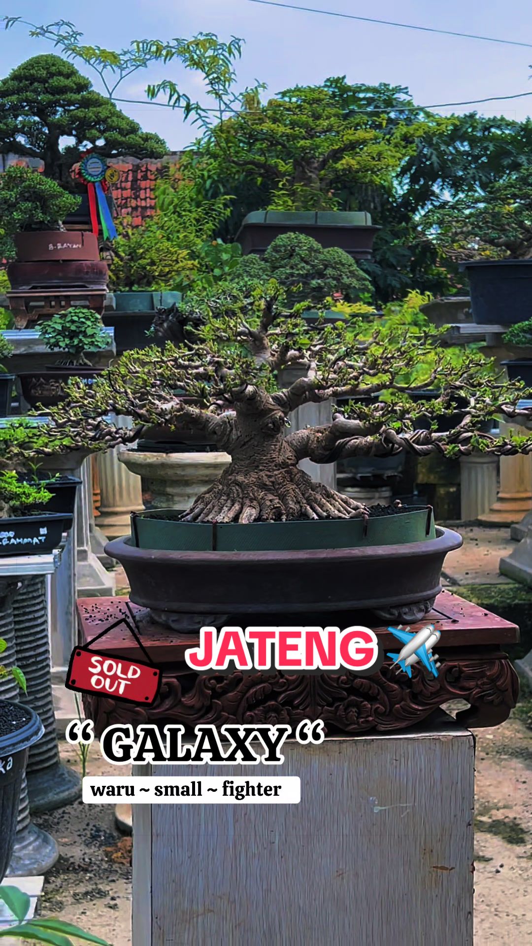 @warbonsai_purwodadi