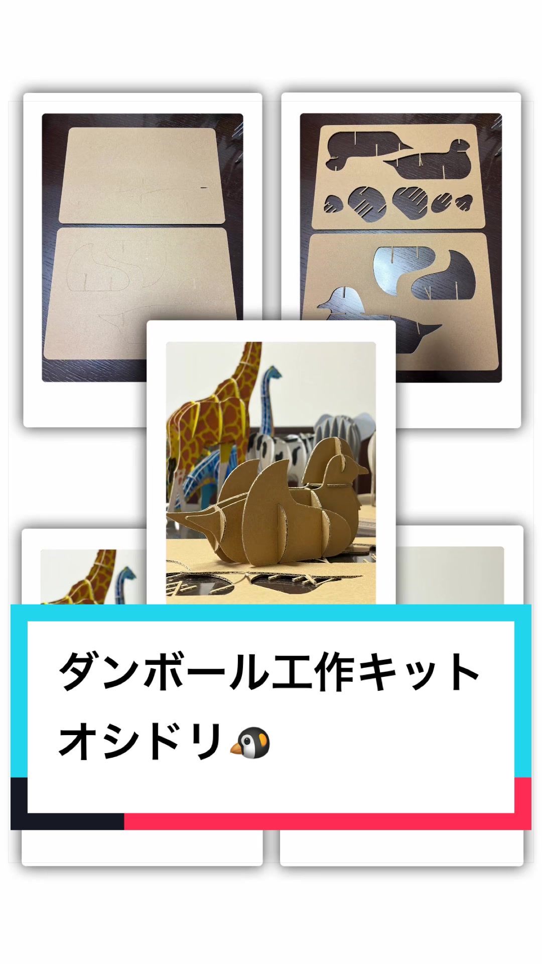 @ダンボール王子🌏♾️🐦&zwj;🔥