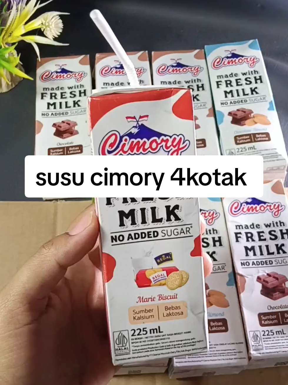 @zellaycel02