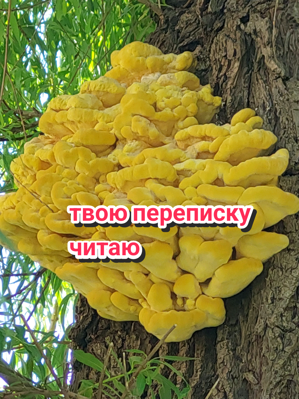 @Рыся✔️🇧🇾