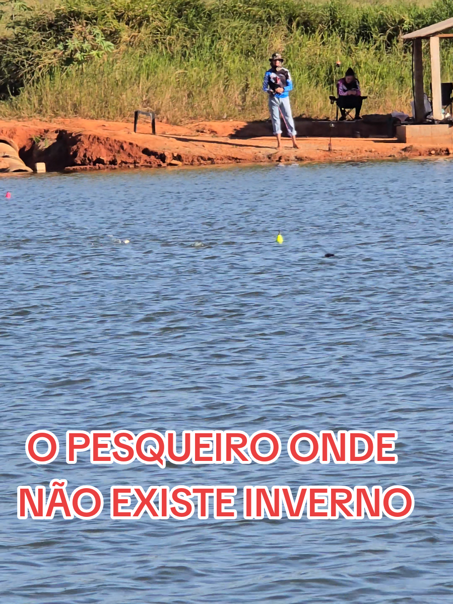 @Renan