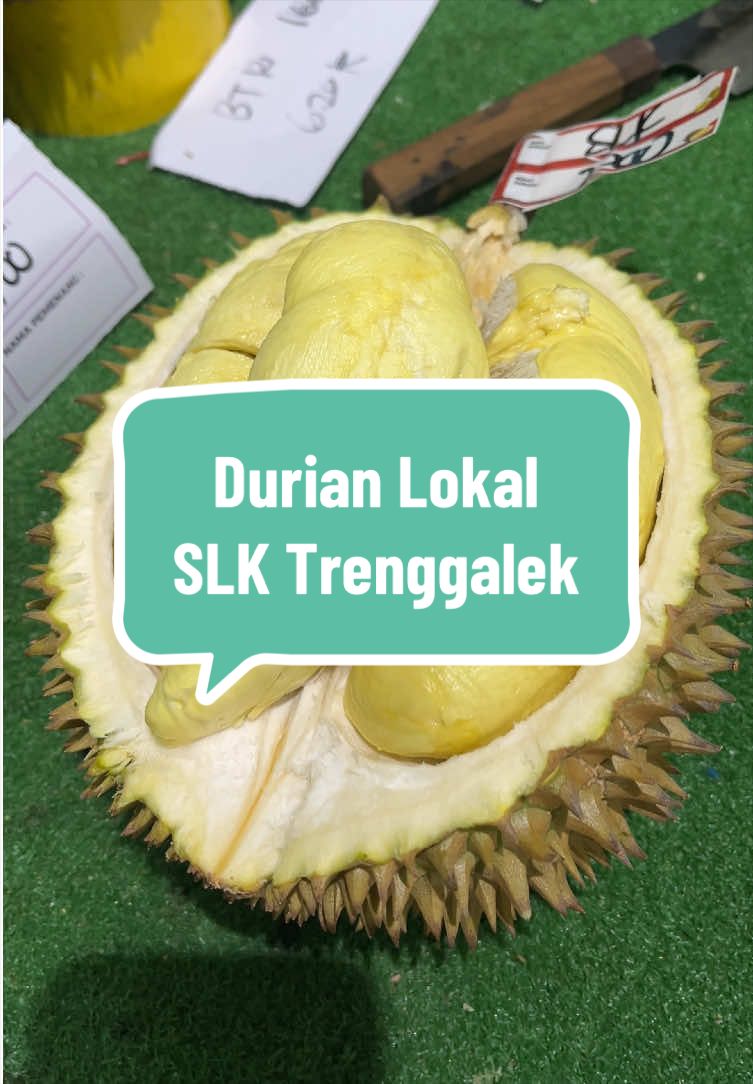 @Rumah Tamma Durian