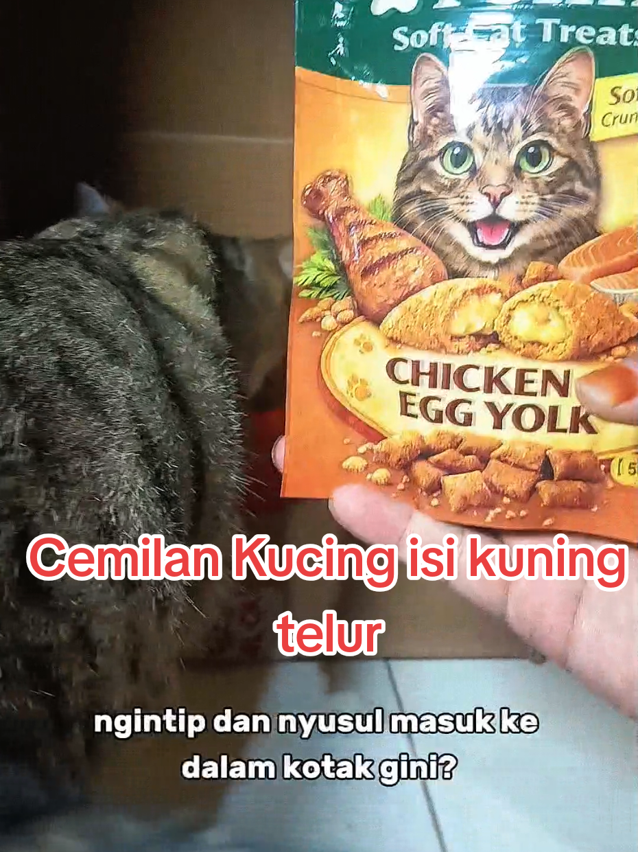 @Medayo Petcare