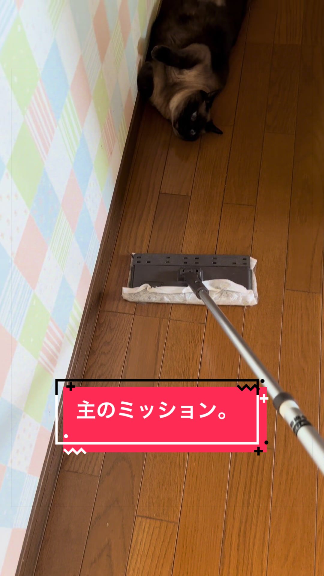 @うちのコレンジャー