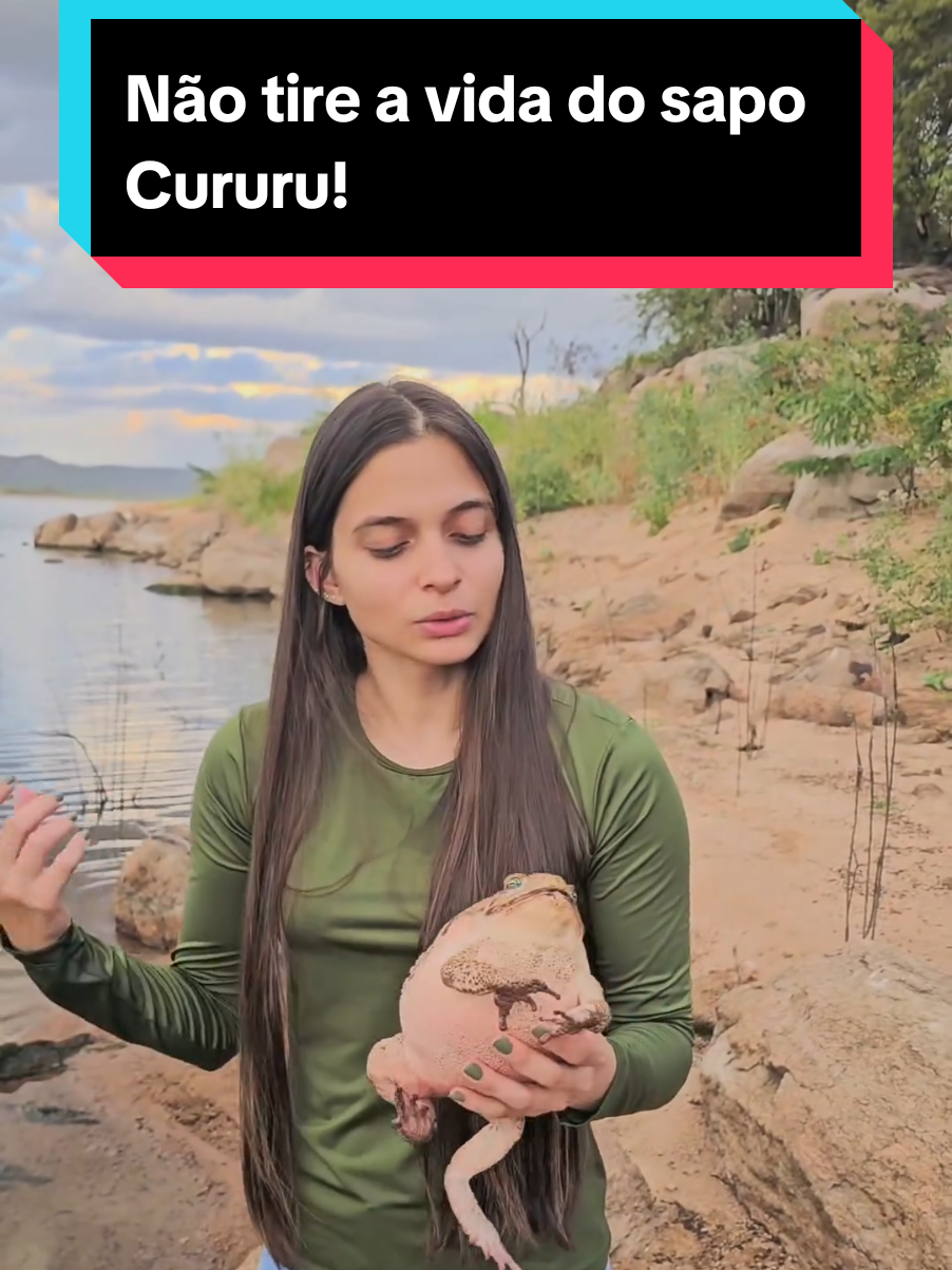 @Princesa das Serpentes