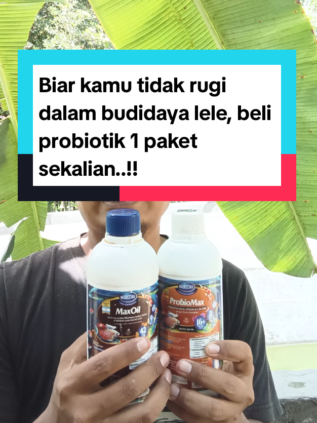 @Kang_Ewi