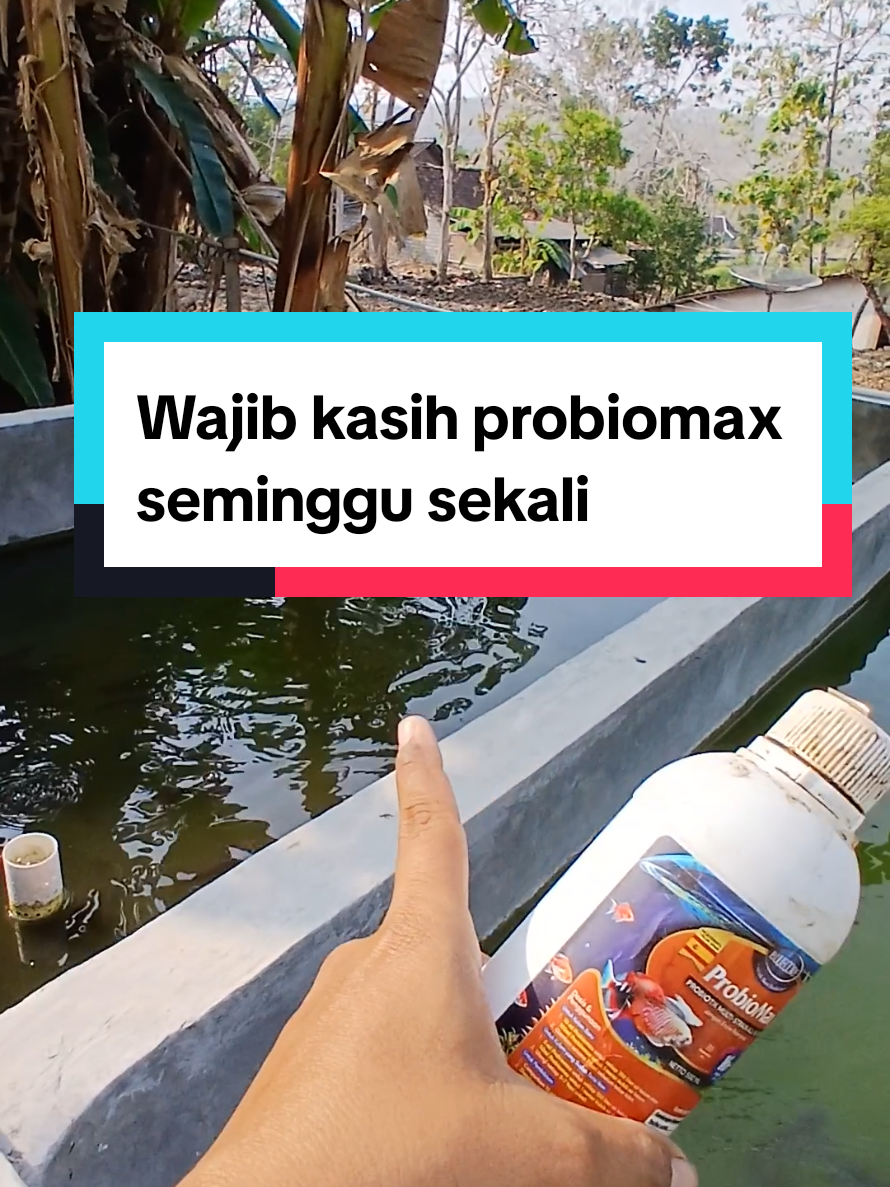 @Kang_Ewi