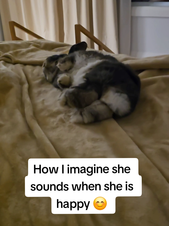 @Blueberry the Bunny