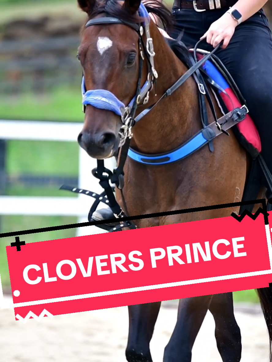 @TOBY EDMONDS RACING