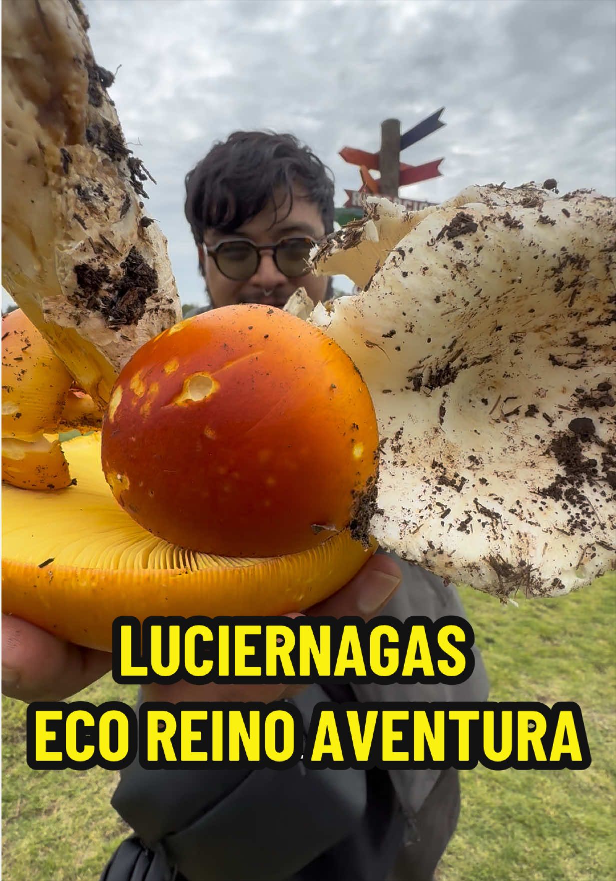 @Eru Anzaldo