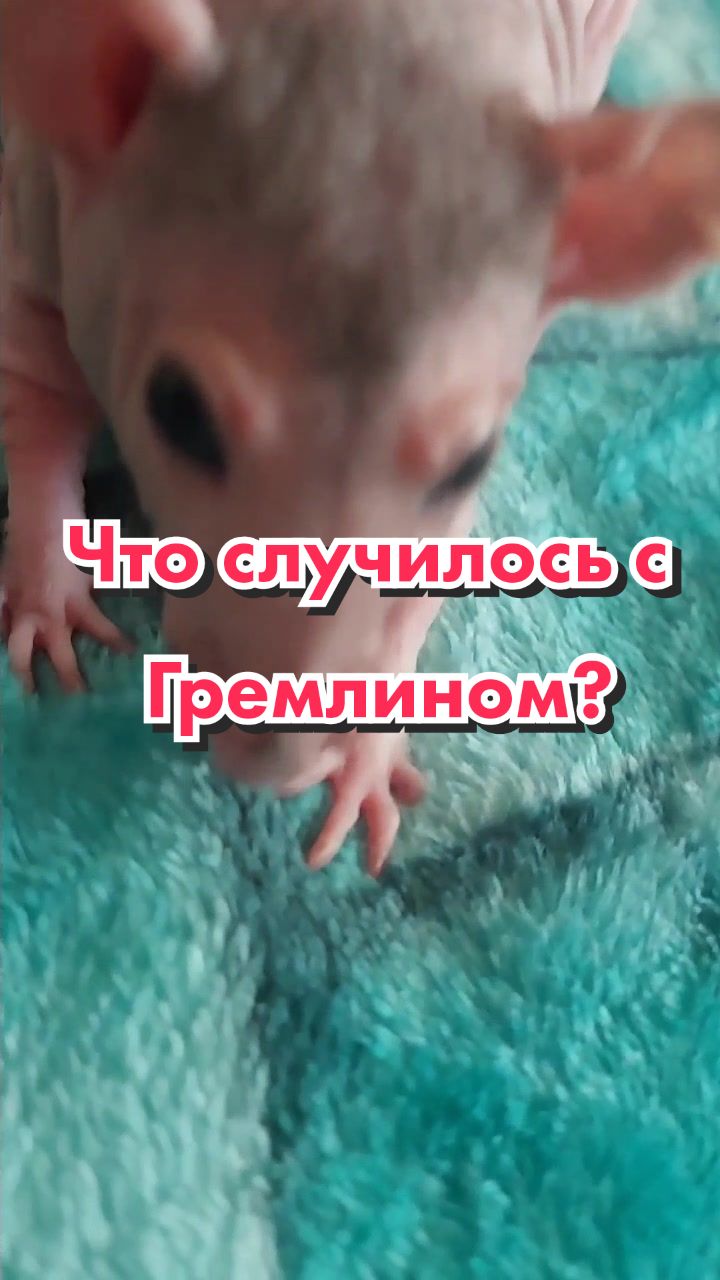 @🐌Яся Ясень🐌