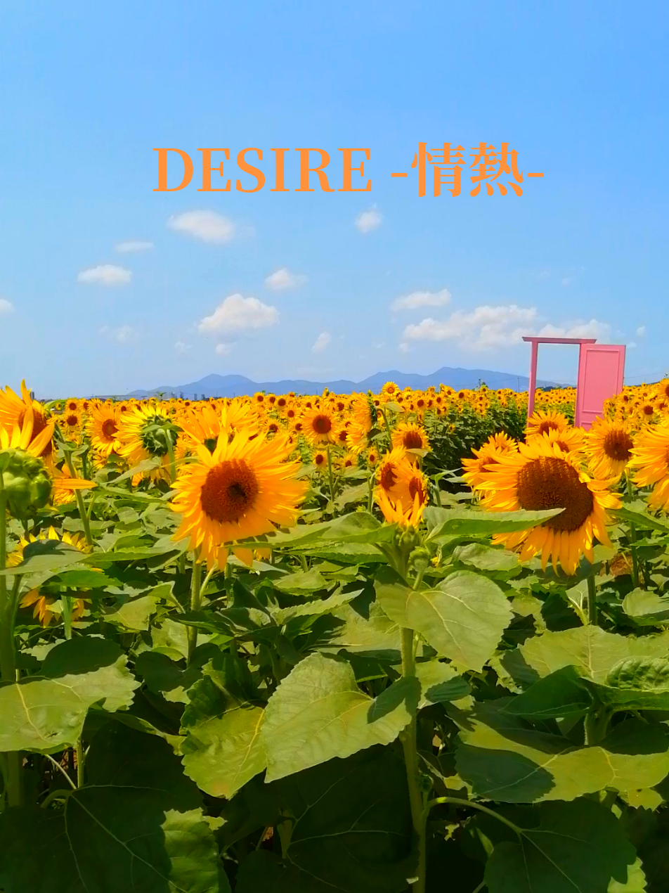 @ナツロキ🎶音楽と⛰️風景と😃😃一緒に