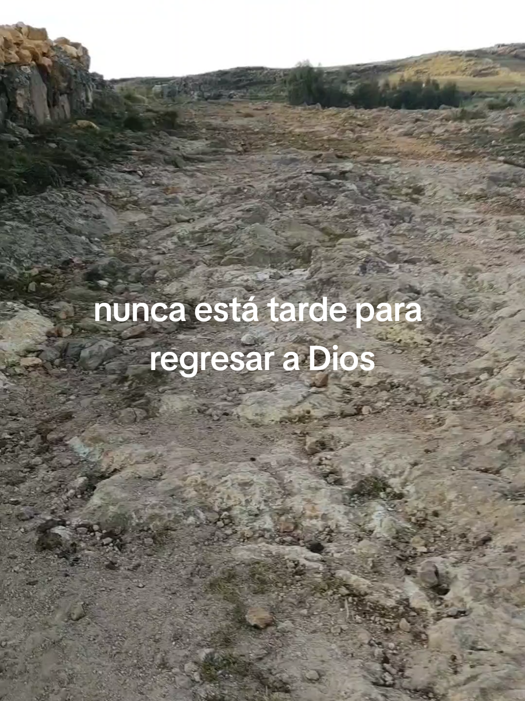 @@Teo Rodriguez