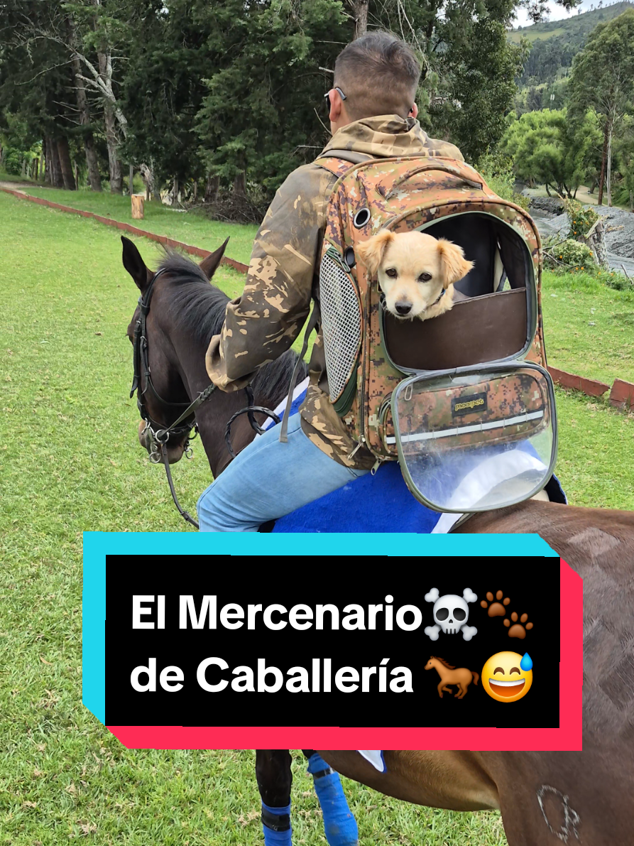 @𝕀ℕ𝕊𝕋ℝ𝕌ℂ𝕋𝕆ℝ 𝕂𝟡 𝔼.ℂ