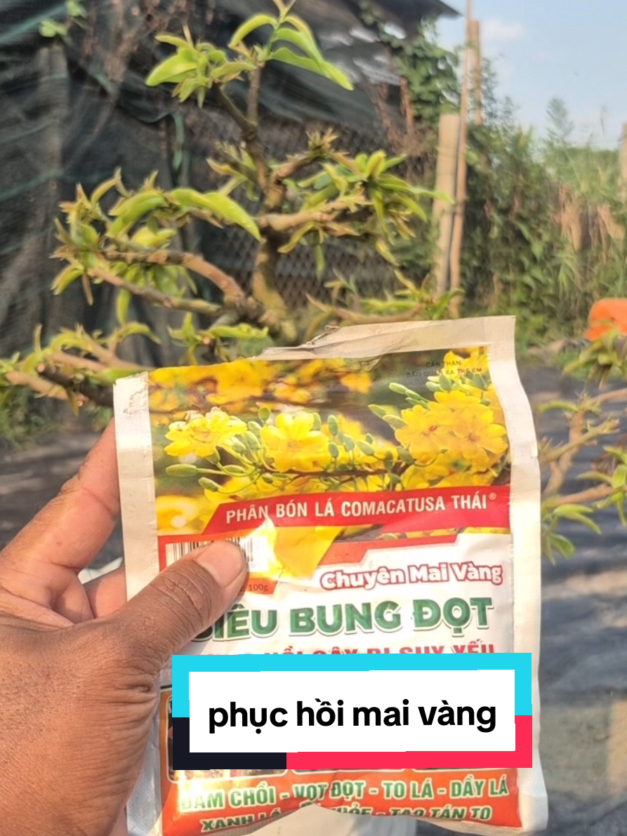 @Văn Long