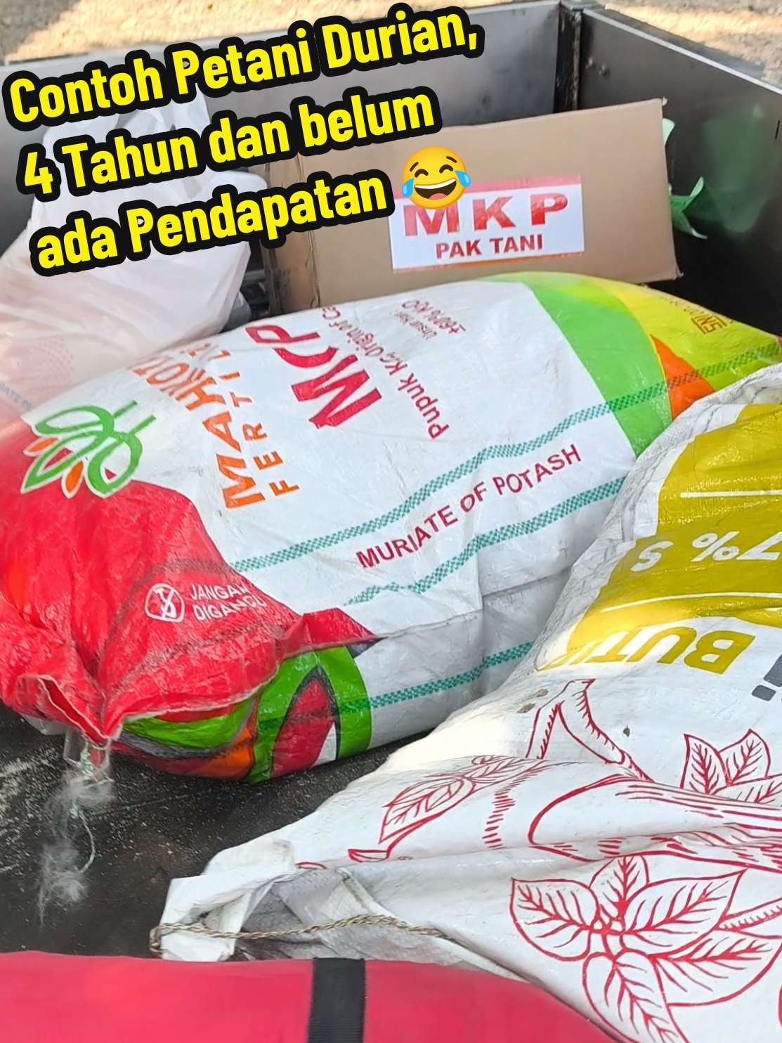 @Alas Durian Jepara