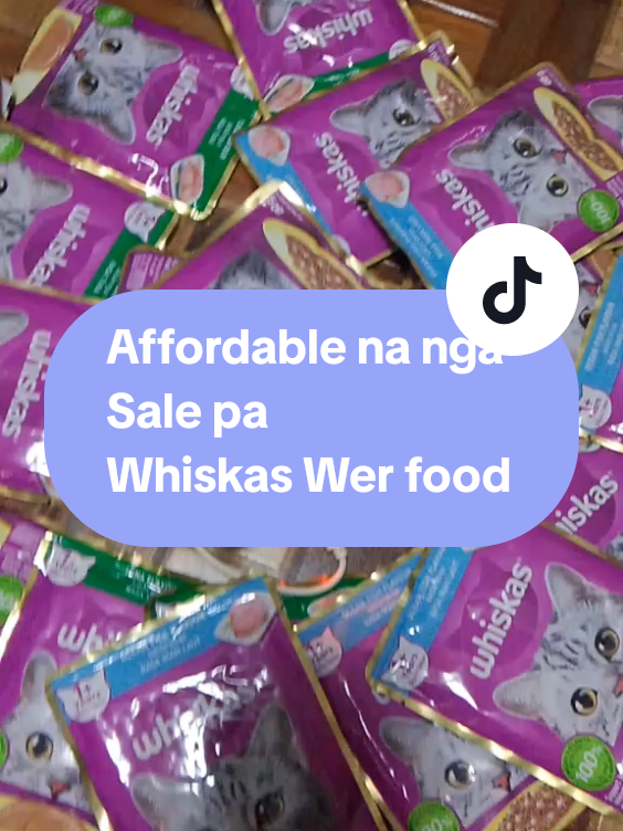 @inday alicia