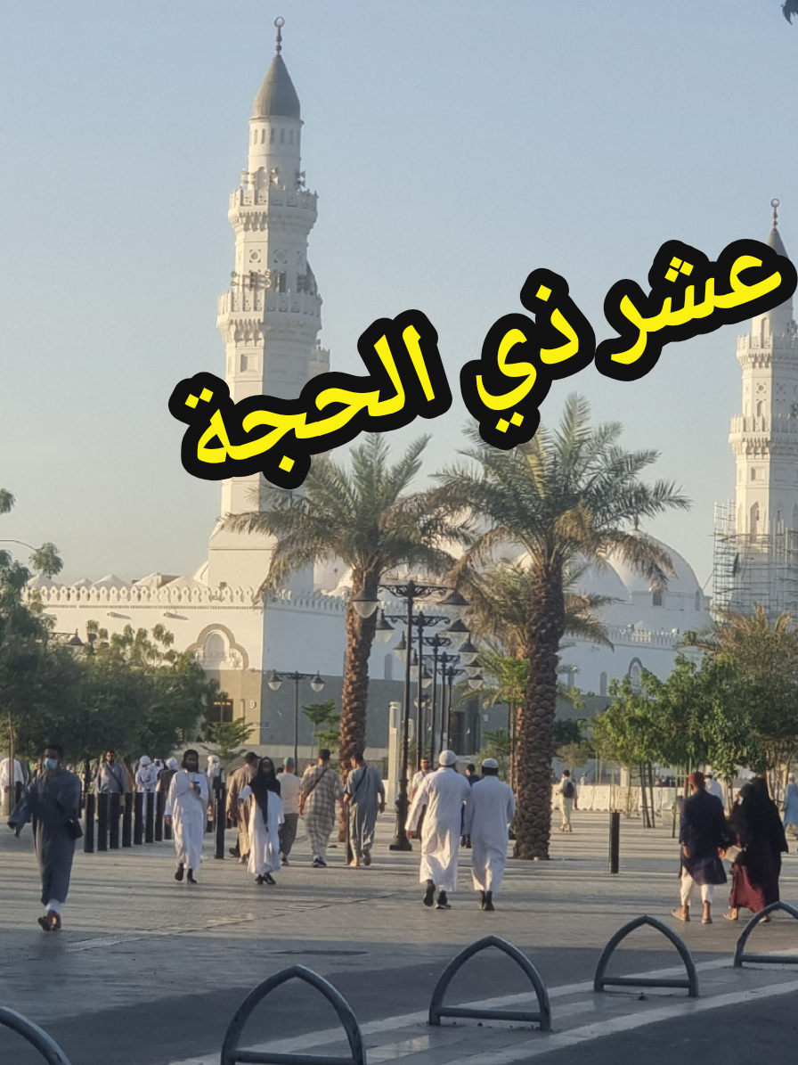 @سعود من المدينة المنورة 🛑
