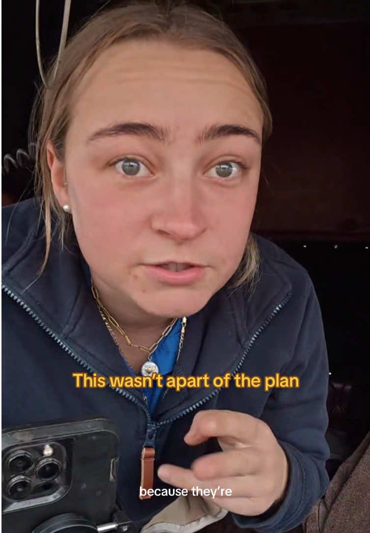 @phiasbees