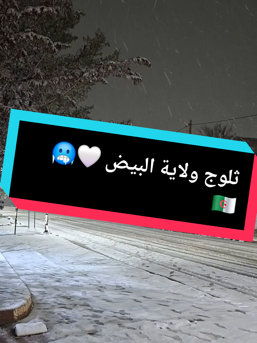 @Mohamed Amine Mahi
