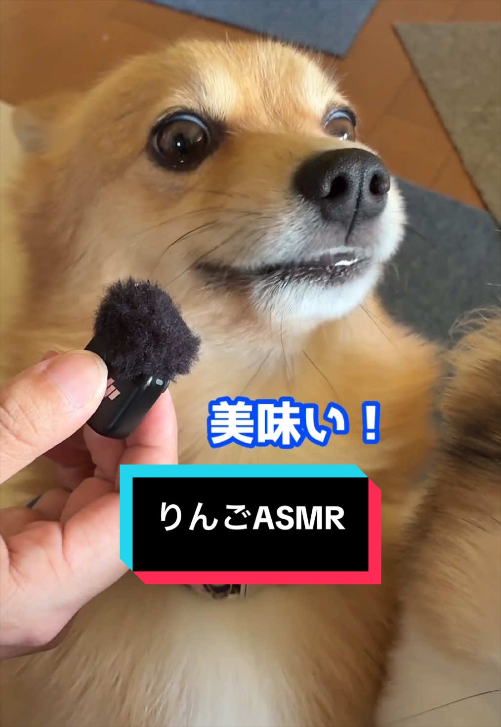 @サクサクビスケット