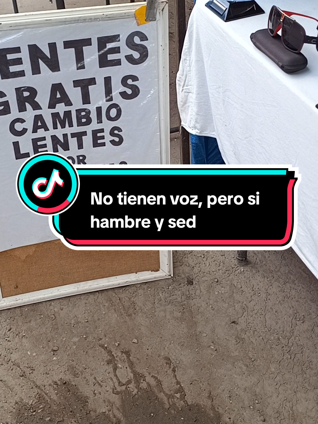 @El compita de los perros