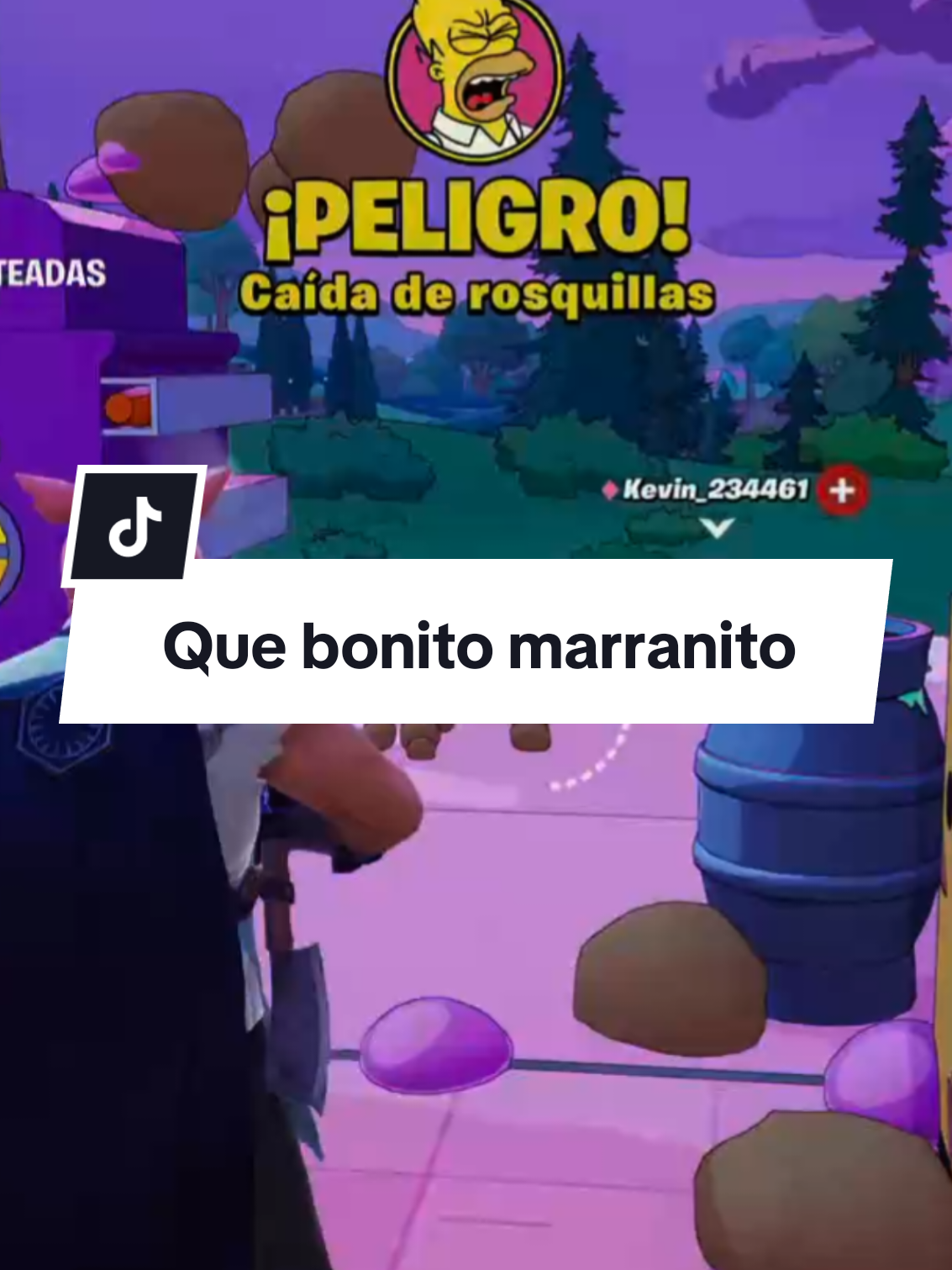 @PorckChop