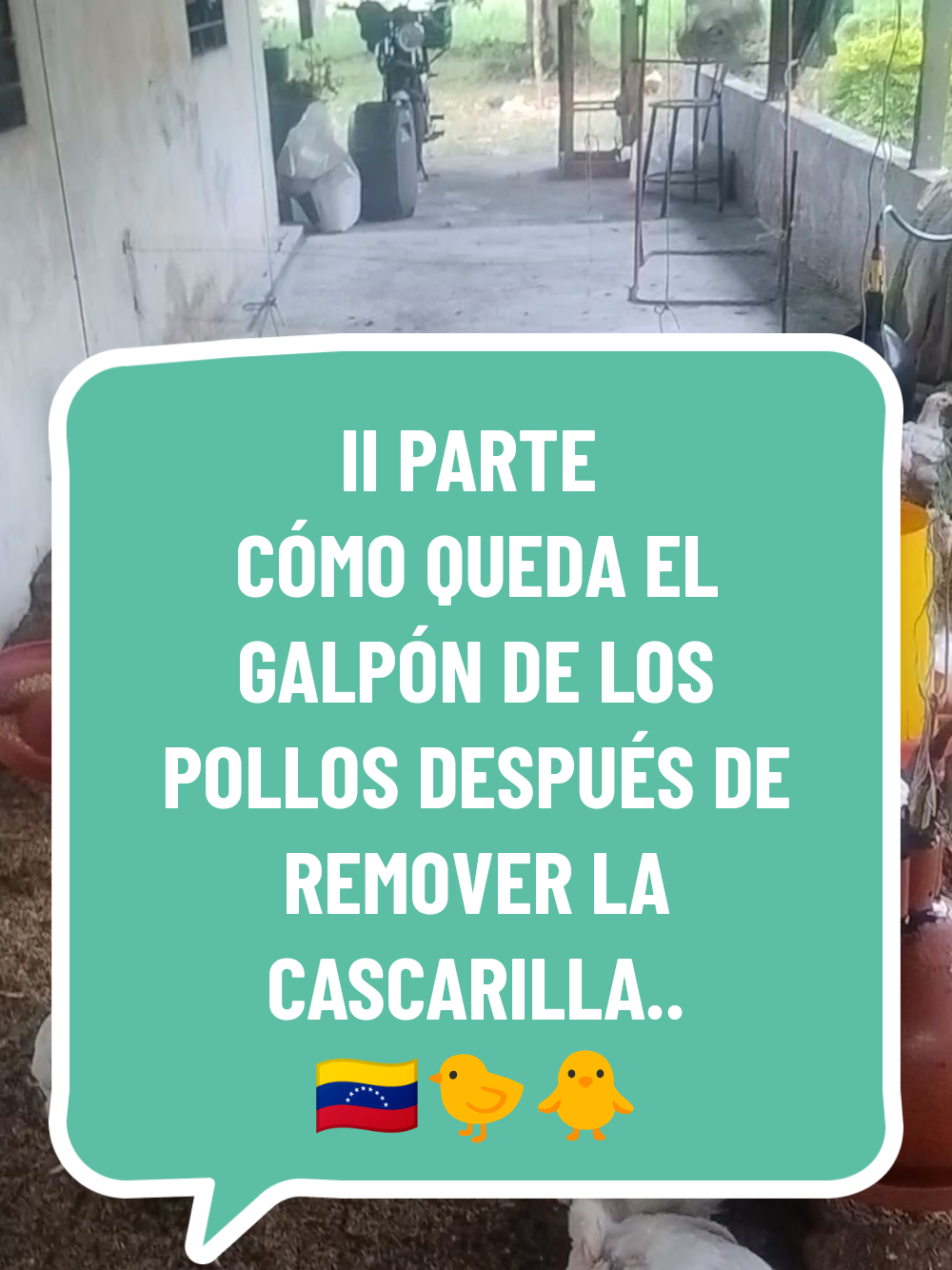 @El Chamo Uber venezuela