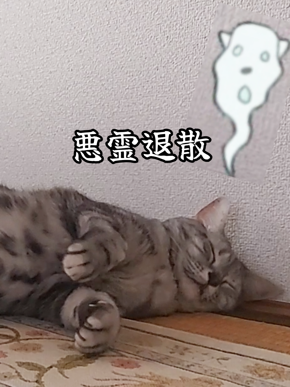 @ジュリちゃん