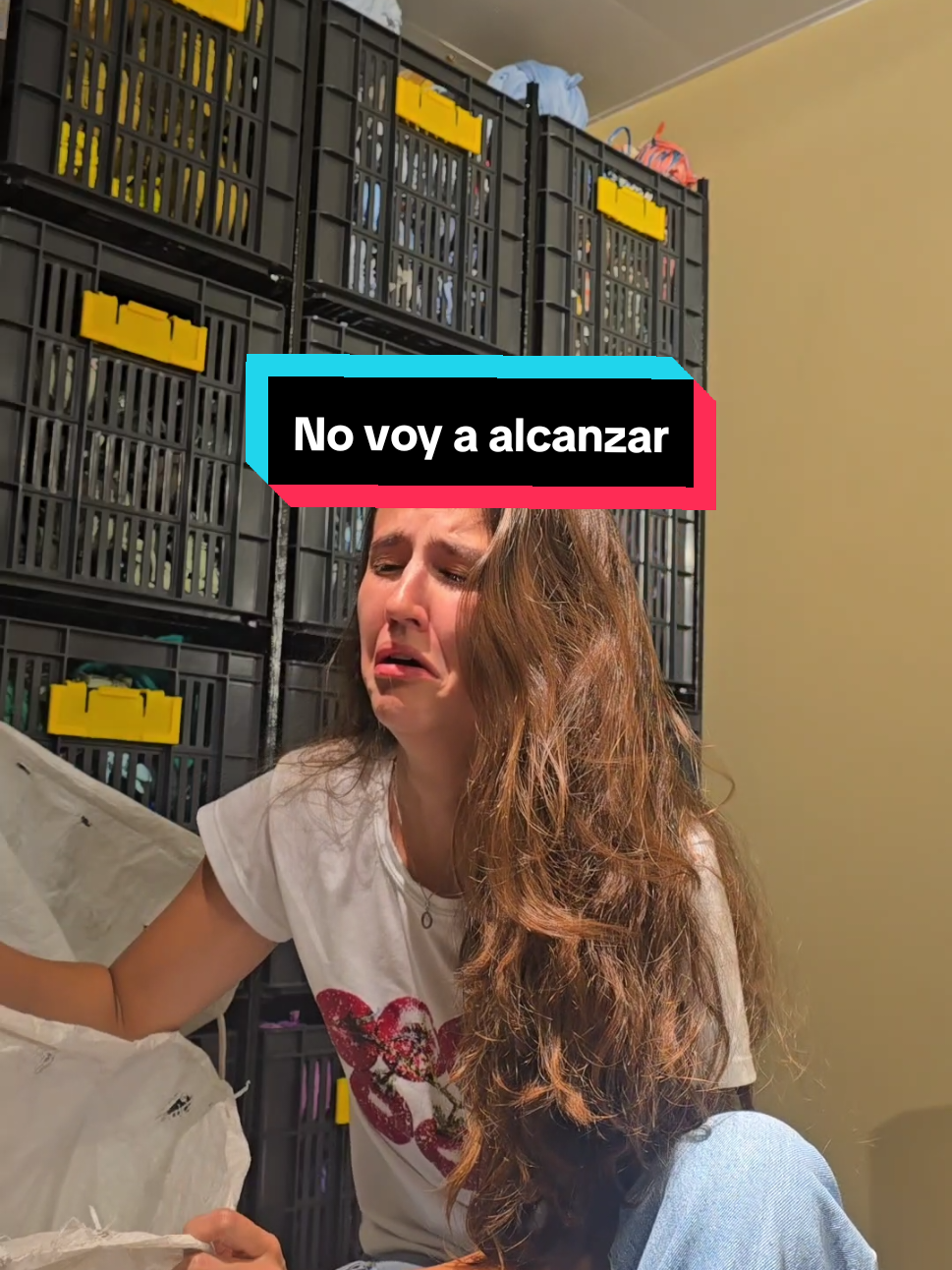 @Ally - Ale Arenas
