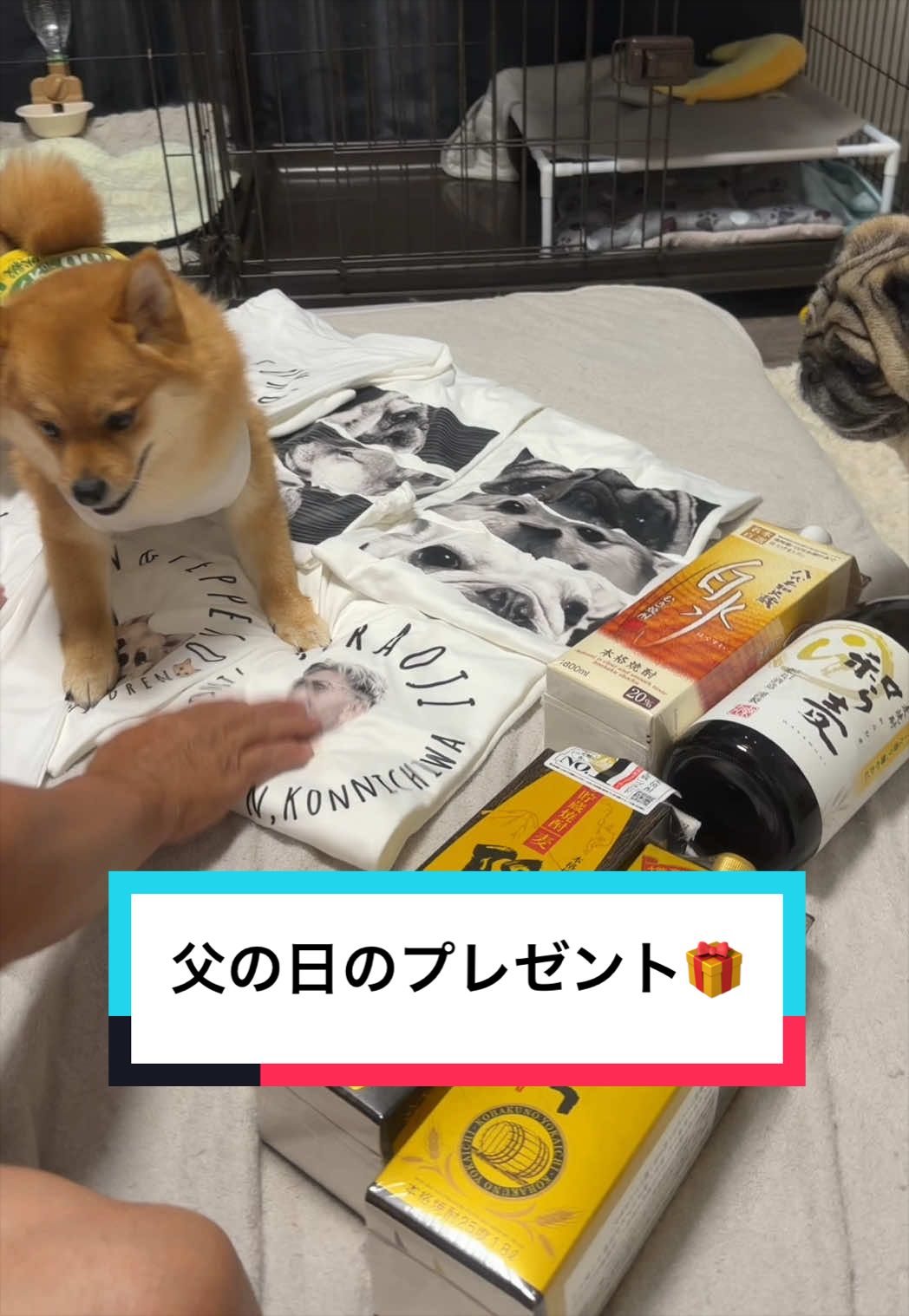 @🐶とん&ぺっぺこぺー🦊