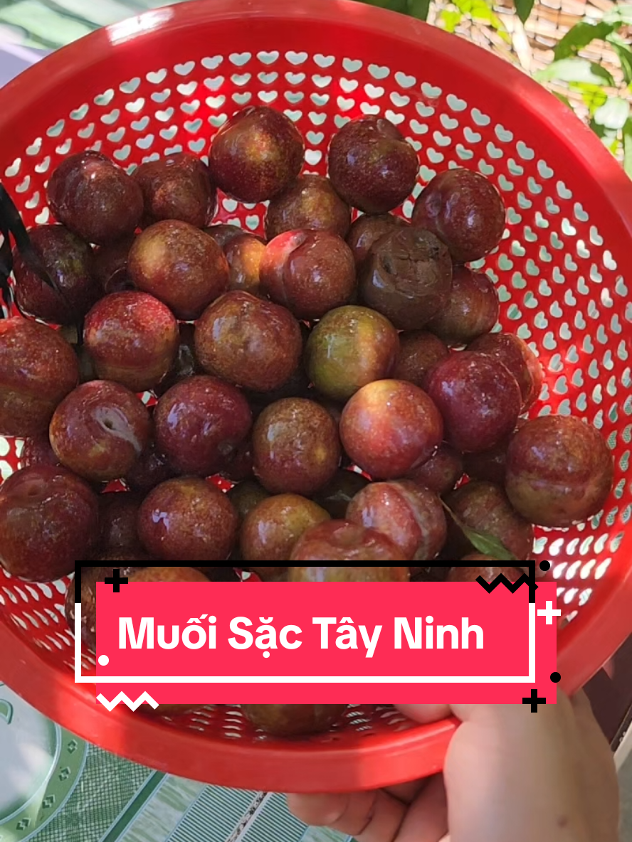 @Nam B&aacute;n Đồ