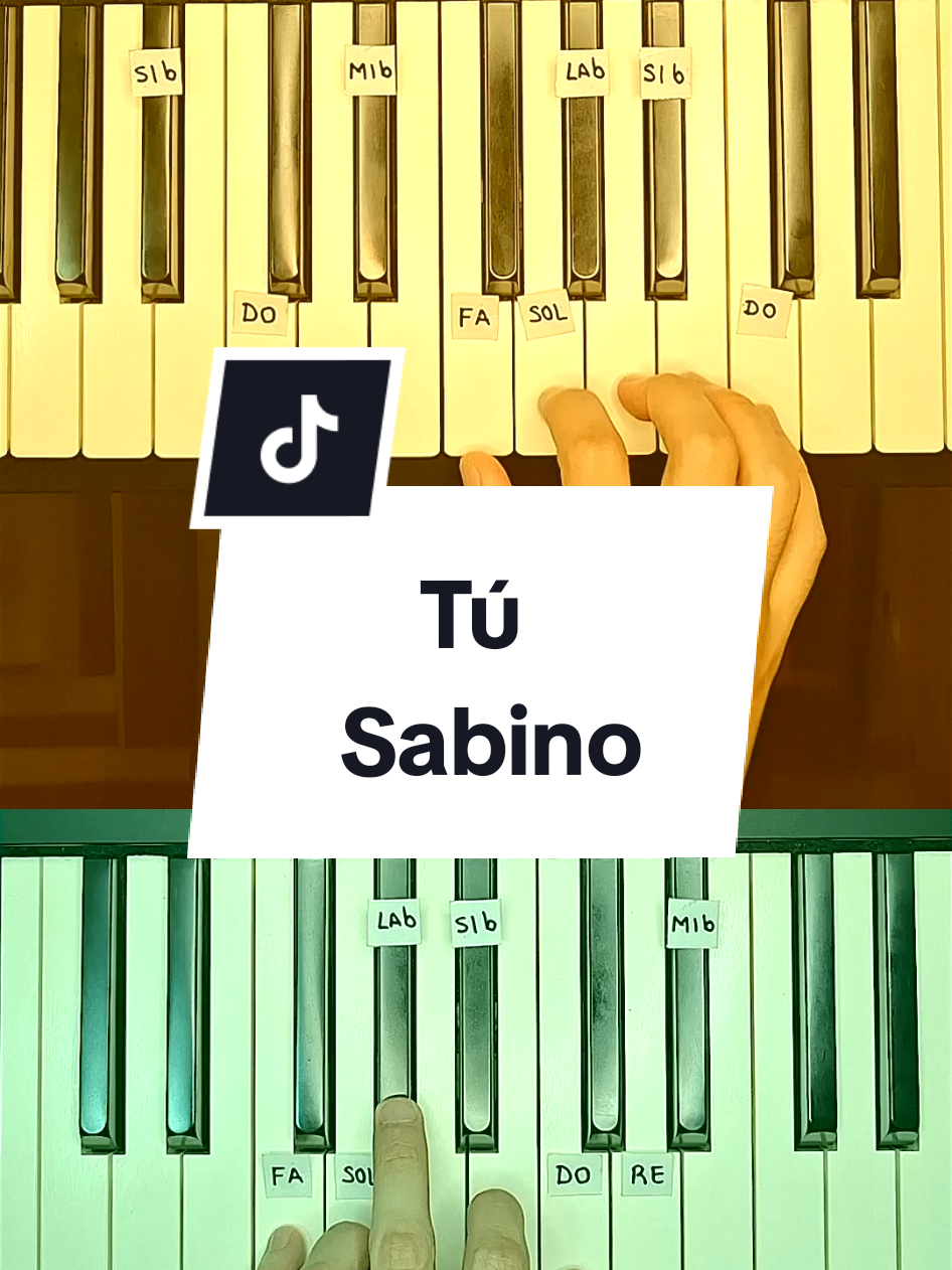@Maurizzio Piano😜🎹