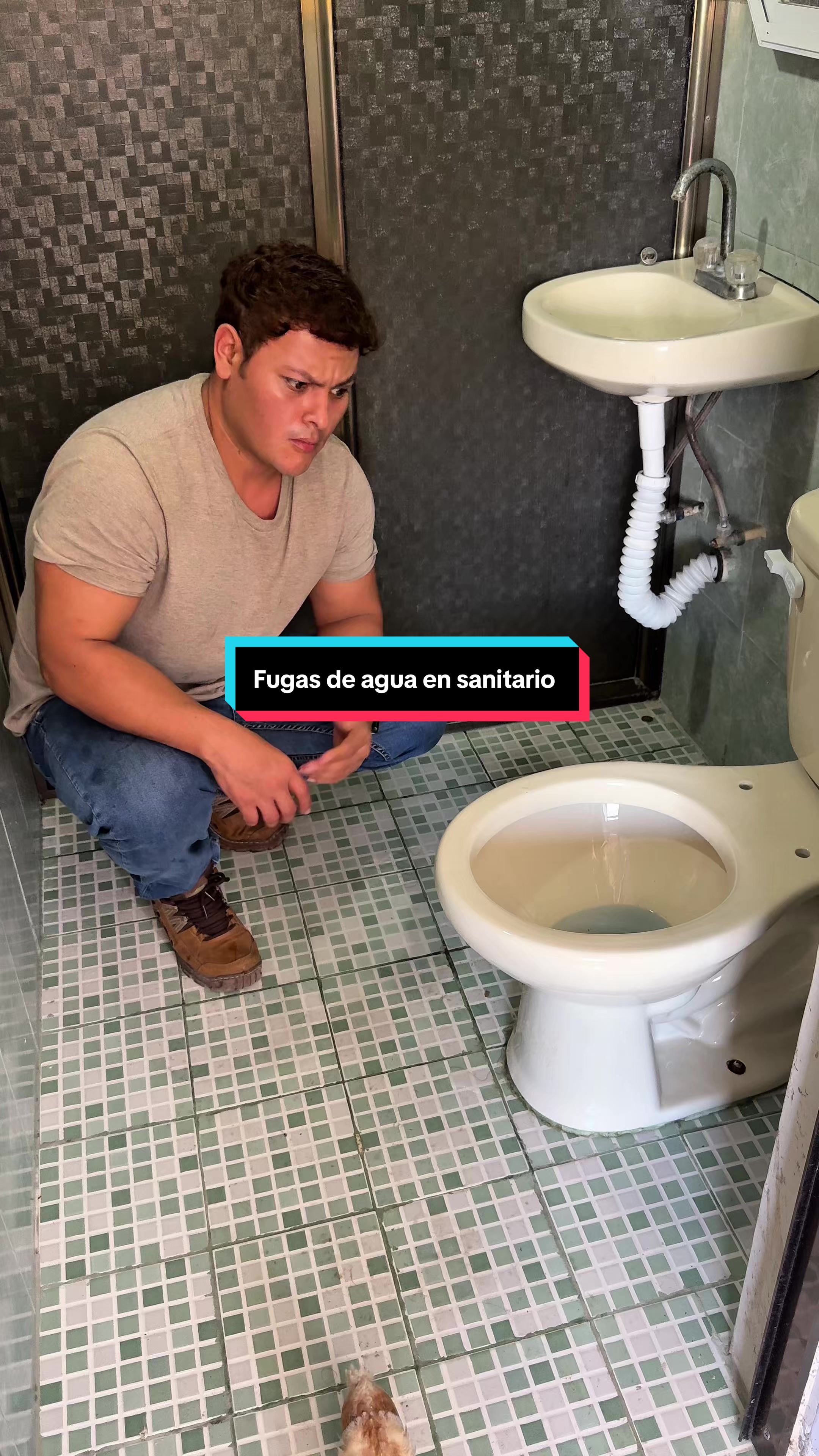 @Tecnitips