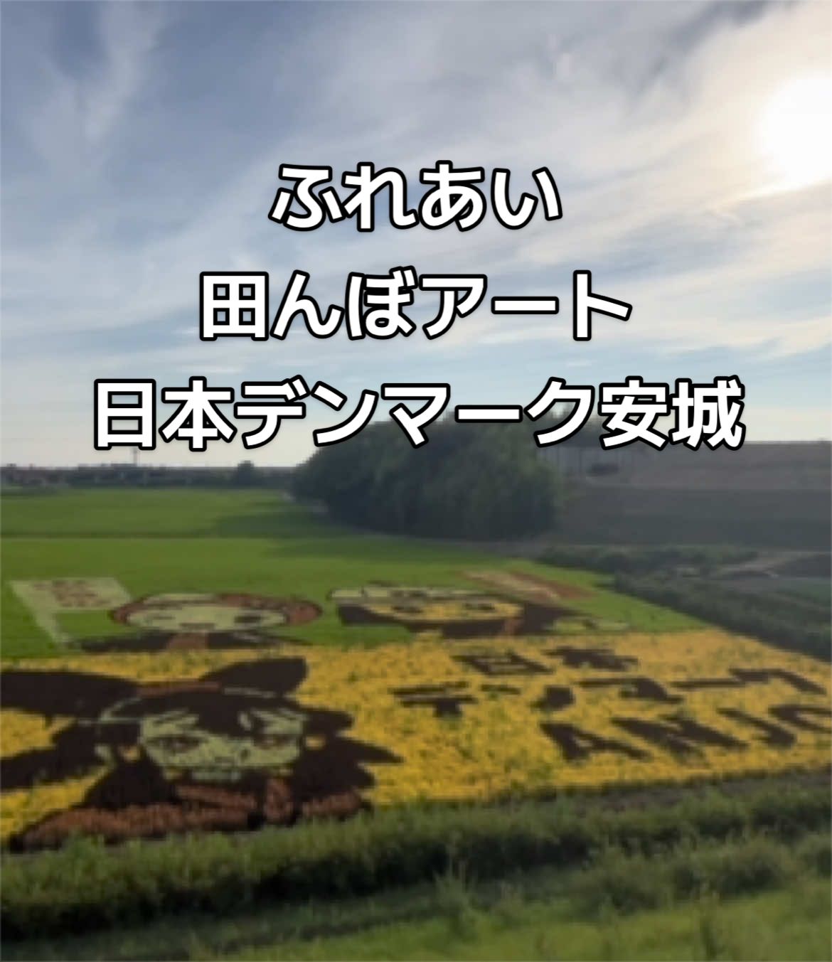 @みやみや