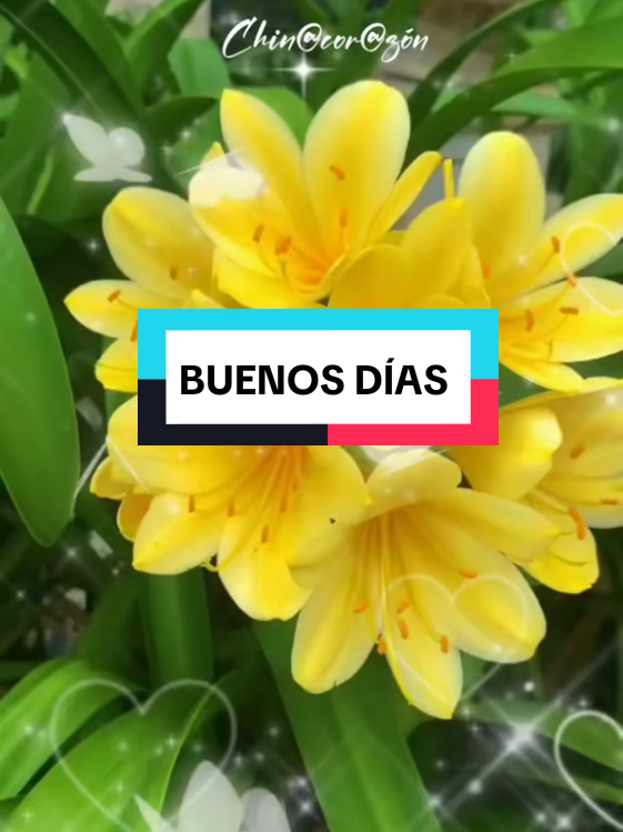 @chin@❤