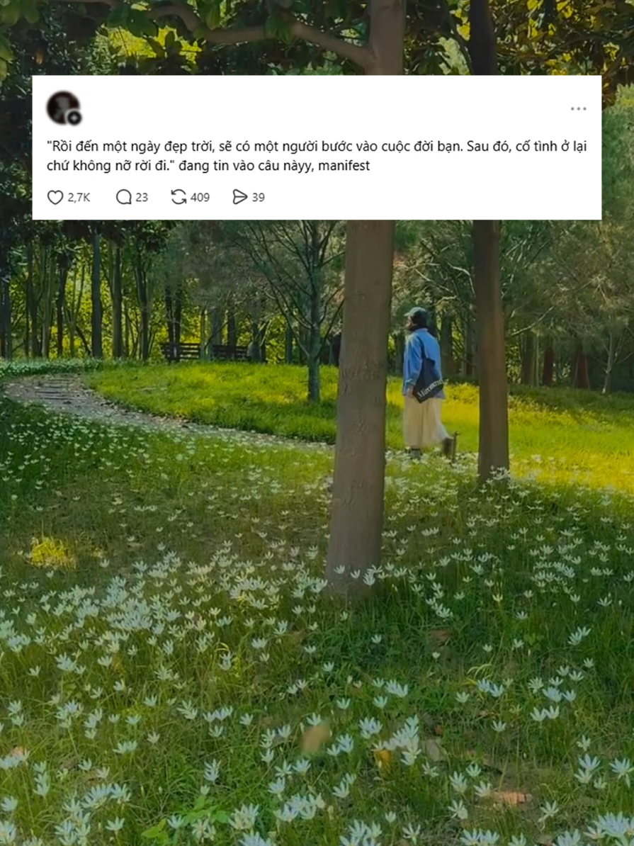 @Anne tr&ecirc;n g&aacute;c m&aacute;i