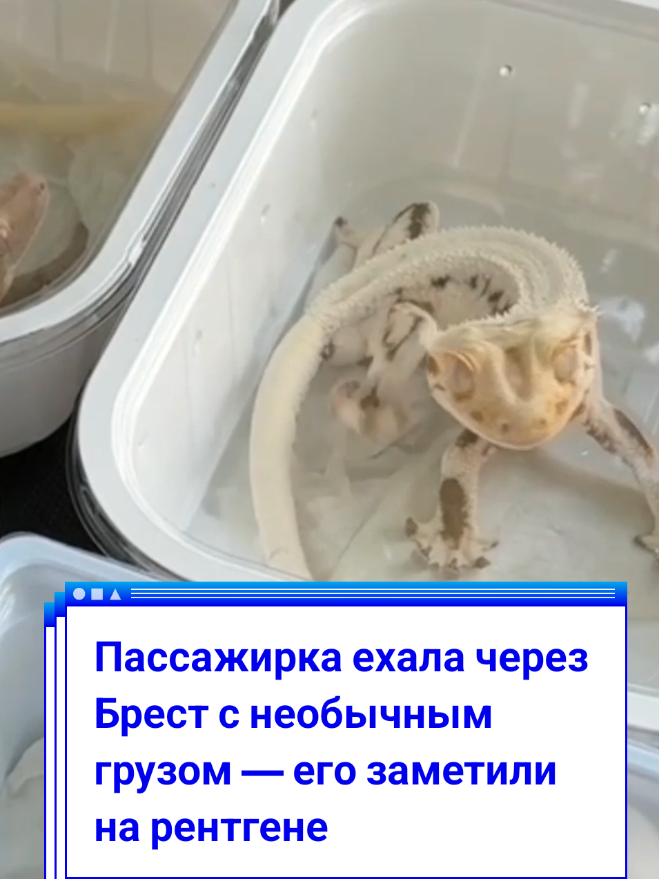 @BELARUS_360
