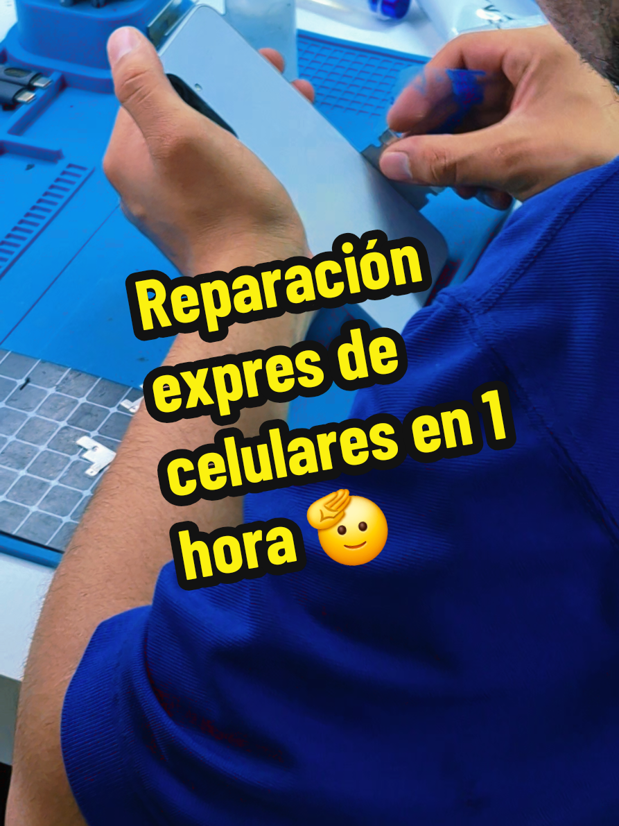 @Yo soy Tec&aacute;mac