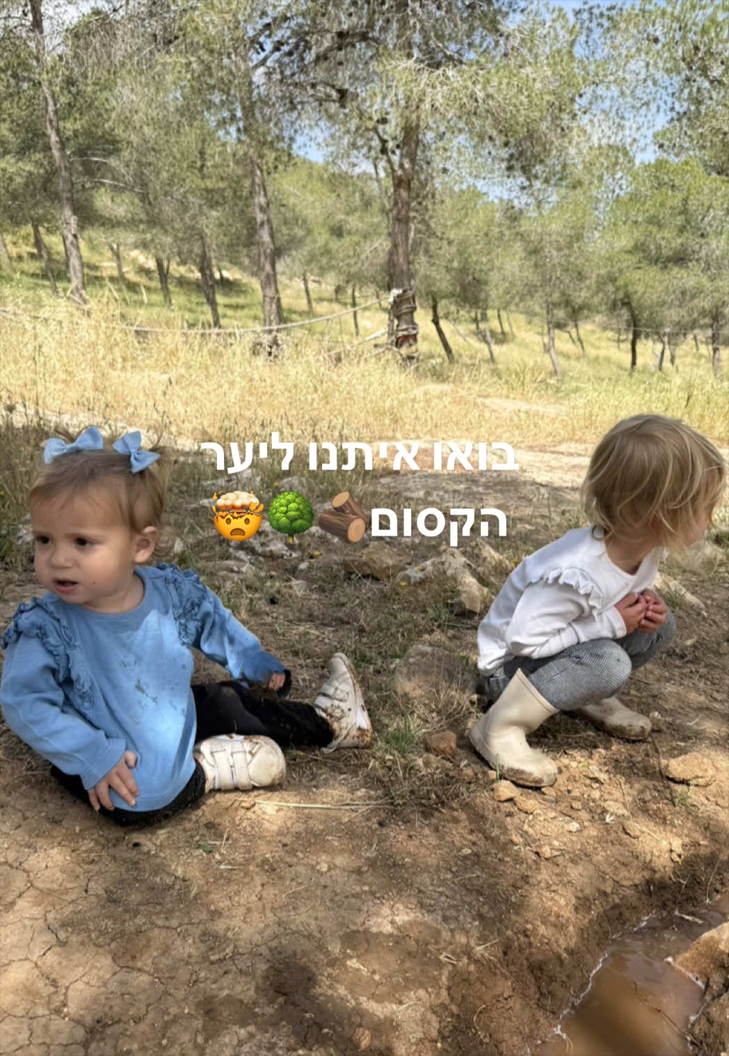 @Amit Sofer