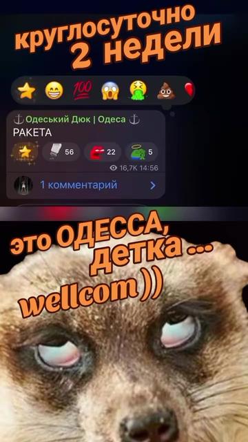 @Інна_Білоус737