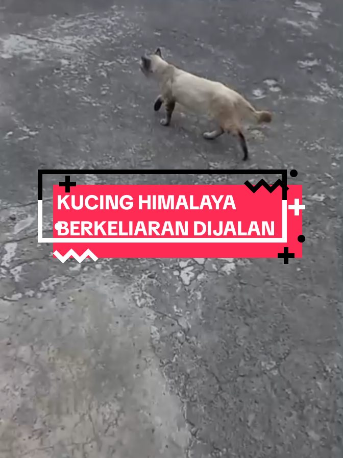 @APRI RADJA GROSIR
